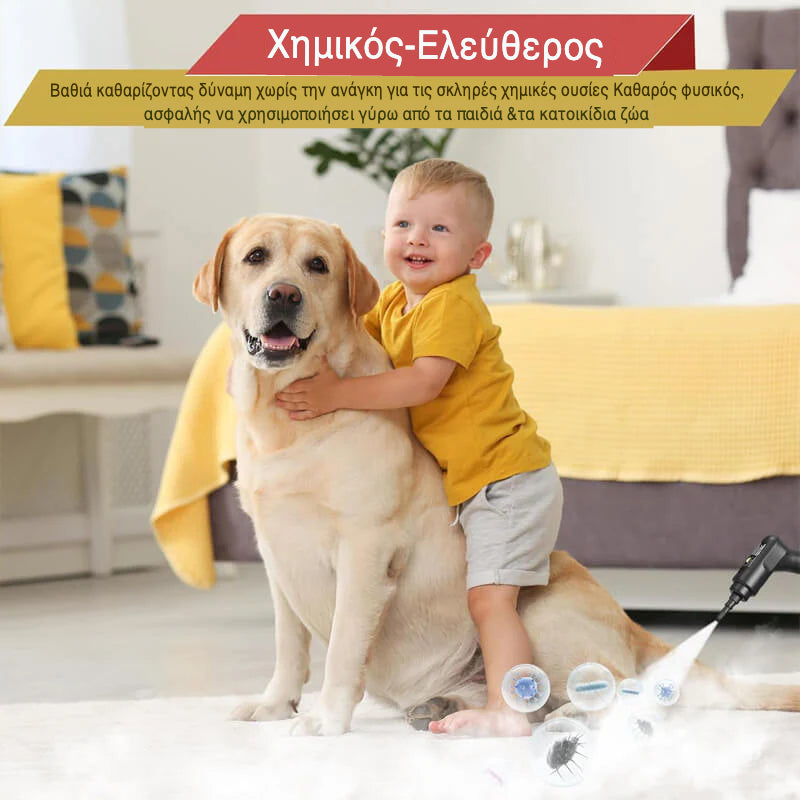 2500W  Υψηλή  Πίεση  Ατμός  Καθαριστικό  με  Γάντια